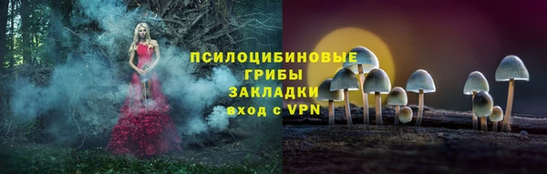 прущая мука Бронницы