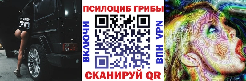 наркошоп  Владимир  Галлюциногенные грибы MAGIC MUSHROOMS 